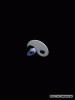 anim240x320_by_matafaka_01.gif
